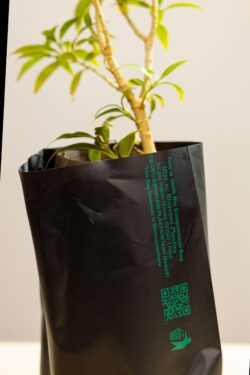 Plant Bags