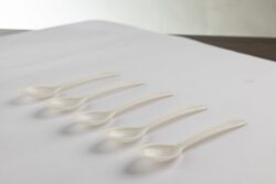 Bio Compostable Spoons