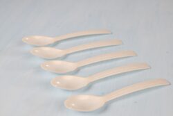 Bio Compostable Spoons