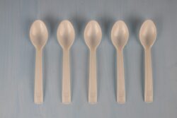Bio Compostable Spoons